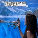 深圳小梅沙海洋世界 - 深圳市旅游 缩略图 7