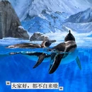 深圳小梅沙海洋世界 - 深圳市旅游 缩略图 9