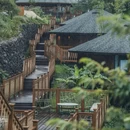 隐居乡里·青木瓜之味乡村度假区 - 安康市旅游 缩略图 3