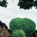 上下杭历史文化街区 - 福州市旅游 缩略图 6