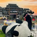 成都都江堰 - 成都市旅游 缩略图 6