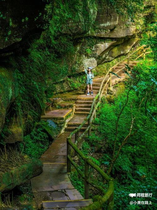 川西竹海景区 - 成都市旅游