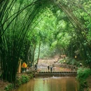 川西竹海景区 - 成都市旅游 缩略图 5