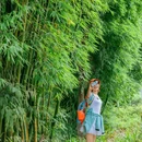 川西竹海景区 - 成都市旅游 缩略图 8