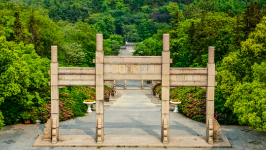 龙背山森林公园门票
