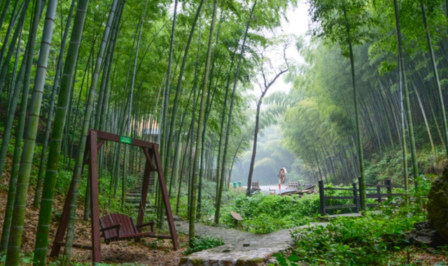 宜兴竹海风景区