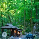 永泉旅游景区 - 铜陵市旅游 缩略图 3