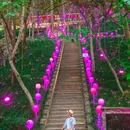 永泉旅游景区 - 铜陵市旅游 缩略图 8
