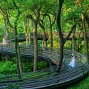 虎跑公园 - 杭州市旅游 缩略图 4