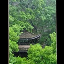 虎跑公园 - 杭州市旅游 缩略图 8