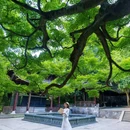 虎跑公园 - 杭州市旅游 缩略图 7