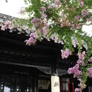 蜀冈瘦西湖风景名胜区 - 扬州市旅游 缩略图 3