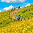 云上草原度假村 - 湖州市旅游 缩略图 3
