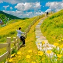 云上草原度假村 - 湖州市旅游 缩略图 1