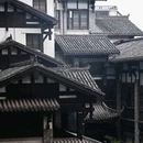 东水门段城门及城墙 - 重庆市旅游 缩略图 3
