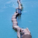 㹧犭茶湖 - 绍兴市旅游 缩略图 1