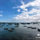 布鲁维斯沙雕艺术园区 - 威海旅游 缩略图 4