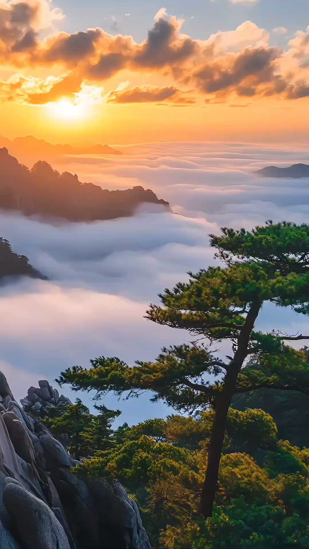 黄山风景区 - 黄山市旅游