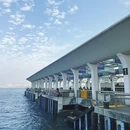 尖沙咀 - 香港特别行政区旅游 缩略图 6
