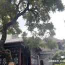 可园博物馆-博物馆区 - 东莞市旅游 缩略图 4