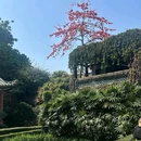 可园博物馆-博物馆区 - 东莞市旅游 缩略图 5