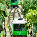 格美Chongqing Memory|自然美学·独栋庭院设计师酒店(重庆解放碑步行街洪崖洞店) - 重庆市旅游 缩略图 2