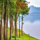 格美Chongqing Memory|自然美学·独栋庭院设计师酒店(重庆解放碑步行街洪崖洞店) - 重庆市旅游 缩略图 5