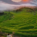 云和梯田景区 - 丽水市旅游 缩略图 2
