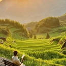云和梯田景区 - 丽水市旅游 缩略图 1