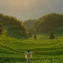 云和梯田景区 - 丽水市旅游 缩略图 7