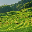 云和梯田景区 - 丽水市旅游 缩略图 9