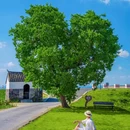 石臼湖 - 南京市旅游 缩略图 2