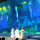 正佳极地海洋世界 - 广州市旅游 缩略图 7