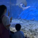 正佳极地海洋世界 - 广州市旅游 缩略图 8