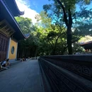 灵隐寺 - 杭州市旅游 缩略图 7