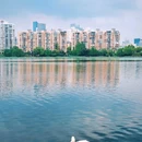 莫愁湖公园 - 南京市旅游 缩略图 8