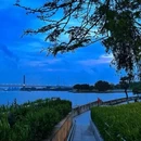 长洲岛 - 广州市旅游 缩略图 4