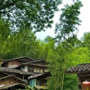 三宝国际陶艺村美术馆 - 景德镇市旅游 缩略图 8