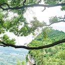 古既·腰岩COFFEE - 贵阳市旅游 缩略图 1