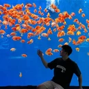 金牛湖野生动物王国 - 南京市旅游 缩略图 7