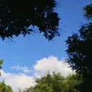 天坛公园 - 北京市旅游 缩略图 1