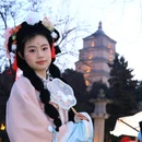 西安大雁塔 - 西安市旅游 缩略图 3