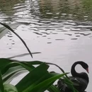 可园博物馆-博物馆区 - 东莞市旅游 缩略图 2