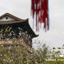 可园博物馆-博物馆区 - 东莞市旅游 缩略图 8