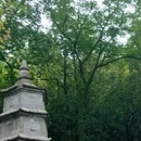 灵隐寺 - 杭州市旅游 缩略图 5