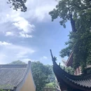灵隐寺 - 杭州市旅游 缩略图 6