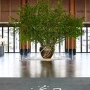 绍兴东山大观酒店 - 绍兴市旅游 缩略图 4