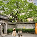 溱潼古镇旅游区 - 泰州市旅游 缩略图 4