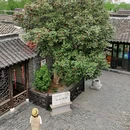 溱潼古镇旅游区 - 泰州市旅游 缩略图 7