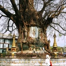 勐焕银塔景区 - 德宏傣族景颇族自治州旅游 缩略图 8